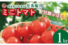 【2026年3月発送】 ミニトマト 1kg 花鳥風月 先行予約 水耕栽培 爽やか 甘い 野菜 やさい 国産 産地直送 数量限定 旬 フレッシュトマト 生野菜 新鮮 ソース 調味料 ケチャップ サラダ 美容 新鮮 健康 お取り寄せ グルメ おすすめ 人気 1万円以下 10000円以下 徳島県 小松島市