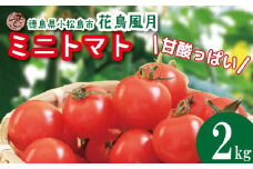 【2026年3月発送】 ミニトマト 2kg 花鳥風月 先行予約 水耕栽培 爽やか 甘い 野菜 やさい 国産 産地直送 数量限定 旬 フレッシュトマト 生野菜 新鮮 ソース 調味料 ケチャップ サラダ 美容 新鮮 健康 お取り寄せ グルメ おすすめ 人気 徳島県 小松島市