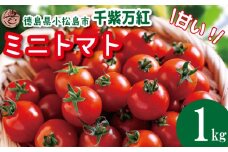 【2026年4月発送】 ミニトマト 1kg 千紫万紅 先行予約 水耕栽培 甘い 野菜 やさい 国産 産地直送 数量限定 旬 フレッシュトマト 生野菜 新鮮 ソース 調味料 ケチャップ サラダ 美容 新鮮 健康 お取り寄せ グルメ おすすめ 人気 1万円以下 10000円以下 徳島県 小松島市