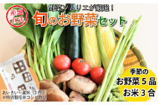 エシカル野菜5種とお米のセット 野菜 米 新鮮 採れたて 産地直送 やさい とうもろこし トマト 減農薬 きのこ オクラ 玉ねぎ 美味しい 小松島市