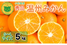 【2025年11月順次発送】 みかん 秀品 温州みかん5kg  早生みかん ミカン 蜜柑 甘い フルーツ 柑橘 ジュース 小松島市 5kg オススメ 人気 ふるさと納税