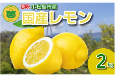 レモン 2kg 秀品 2025年10月順次発送 国産 レモン 檸檬 れもん ワックス不使用 防腐剤不使用 柑橘 果汁 フルーツ 果実 徳島 小松島市