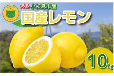 レモン 10kg 秀品 2025年10月順次発送 国産 レモン 檸檬 れもん ワックス不使用 防腐剤不使用 柑橘 果汁 フルーツ 果実 徳島 小松島市
