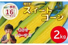 【先行予約】 とうもろこし スイートコーン 2kg 2026年4月より順次発送 朝採れ 採れたて 糖度 16度以上 ゴールドラッシュ ネオ 野菜 甘い コーン 産地直送 桃 ぶどう メロン に並ぶ 甘さ 朝採れ 糖度 生 野菜 スイートコーン 産地直送 バーベキュー BBQ コーン 旬