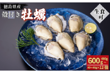 牡蠣 かき カキ 生ガキ 12個 計480g～600g 生食用 殻付きかき 数量限定 オイスター 貝柱 殻付牡蠣 生牡蠣 蒸し焼き 焼き牡蠣 カンカン焼き 加熱用牡蠣 海鮮 海の幸 魚介類 魚貝類 殻付き牡蠣 カキフライ 蒸しガキ キャンプ アウトドア 焼くだけ牡蠣 簡単調理 オイスターナイフ付き 和田島岬オイスター