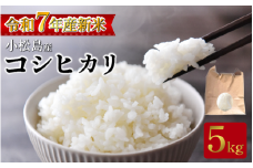【2026年3月発送】米 コシヒカリ5kg  米 白米 精米 こめ お米 産地直送 選べるお届け月 おすすめ 人気 備蓄 ご飯 ごはん 小松島 コシヒカリ