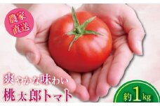 【2026年2月発送】 トマト 1kg 桃太郎 先行予約  甘い 野菜 やさい 国産 産地直送 数量限定 旬 桃太郎トマト 生野菜 新鮮 ソース 調味料 ケチャップ サラダ 美容 新鮮 健康 お取り寄せ グルメ おすすめ 人気 徳島県 小松島市