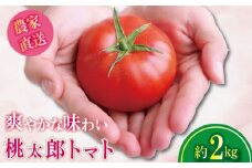【2026年4月発送】 トマト 約2kg 桃太郎 先行予約  甘い 野菜 やさい 国産 産地直送 数量限定 旬 桃太郎トマト 生野菜 新鮮 ソース 調味料 ケチャップ サラダ 美容 新鮮 健康 お取り寄せ グルメ おすすめ 人気 徳島県 小松島市
