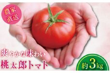 【2026年4月発送】 トマト 約3kg 桃太郎 先行予約  甘い 野菜 やさい 国産 産地直送 数量限定 旬 桃太郎トマト 生野菜 新鮮 ソース 調味料 ケチャップ サラダ 美容 新鮮 健康 お取り寄せ グルメ おすすめ 人気 徳島県 小松島市