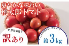 【訳あり】 【4月発送】 トマト 約3kg 桃太郎 先行予約  甘い 野菜 やさい 国産 産地直送 数量限定 旬 桃太郎トマト 生野菜 新鮮 ソース 調味料 ケチャップ サラダ 美容 新鮮 健康 お取り寄せ グルメ おすすめ 人気 徳島県 小松島市
