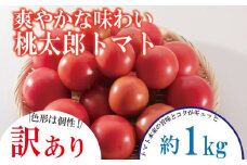 【訳あり】 【4月発送】 トマト 約1kg 桃太郎 先行予約  甘い 野菜 やさい 国産 産地直送 数量限定 旬 桃太郎トマト 生野菜 新鮮 ソース 調味料 ケチャップ サラダ 美容 新鮮 健康 お取り寄せ グルメ おすすめ 人気 徳島県 小松島市