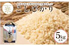 こしひかり 5kg 玄米 令和7年産 潮風米 ご飯 おにぎり ごはん お弁当 ギフト 贈答 プレゼント お取り寄せ グルメ 保存 防災 備蓄 送料無料 徳島 小松島