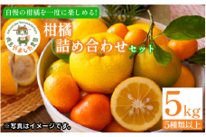 【2026年1月下旬順次発送】 柑橘 詰め合わせ5種以上 5kg しらぬい きよみ はるか 文旦 はっさく みかん レモン スイートレモネード  詰め合わせ  フルーツ 果物 お取り寄せ 人気 国産