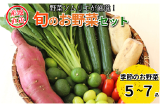 旬のエシカル野菜5～7種セット 野菜 おまかせ 新鮮 採れたて 産地直送 やさい とうもろこし トマト 減農薬 きのこ オクラ 玉ねぎ 美味しい 小松島市