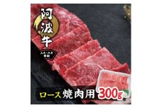 阿波牛A4・A5等級ロース焼肉300g【1209457】