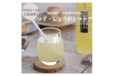 徳島県産果汁たっぷり　ゆず・しょうがシロップ(500ml)2本セット＜5倍希釈＞【1209848】