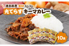 徳島県産食材ゴロゴロキーマカレー　10食入り【1477627】