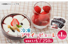 ＜KIMONO FRUITS＞アサイーピューレ(冷凍)100g×10個　&　冷凍　徳島産いちご　【1484595】