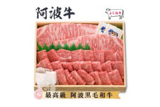 ＜特選ギフト1kg＞サーロイン2枚&ロース焼肉500g　阿波牛黒毛和牛未経産牛(処女牛)【1528705】