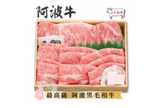 ＜特選ギフト1kg＞サーロイン2枚&ロースすき焼き500g　阿波牛黒毛和牛未経産牛(処女牛)【1528709】
