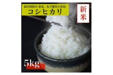 ＜令和7年産　新米先行予約＞コシヒカリ白米5kg《栽培期間中農薬・化学肥料不使用》徳島県阿南市産【1655304】