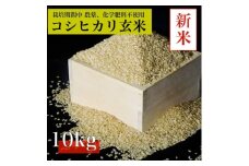 ＜令和7年産　新米先行予約＞コシヒカリ玄米10kg《栽培期間中農薬・化学肥料不使用》徳島県阿南市産【1655401】