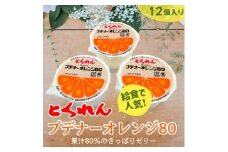とくれん プデナーオレンジ80(70g×12個入)【1657958】