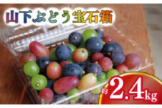 ぶどう 2.4kg 600g 4パック 詰合せ シャインマスカット 瀬戸ジャイアンツ ピオーネ  巨峰 ニューベリーA 紫玉 巨峰 ブラックオリンピア 藤稔 BKシードレス 伊豆錦 ハニーシードレス ハニービーナ ス 多摩ゆたか ホワイトオリンピア 雄宝 サニードルチェ 旅路 安芸クィーン シナノスマイル クィーンニーナ コトピー 果物 ギフト 2025年発送 山下ぶどう宝石箱 徳島県 吉野川市