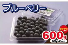 ブルーベリー 生 600g ( 100g × 6パック ) 小分け 先行予約 2025年6月中旬～発送分 生ブルーベリー 果物 くだもの フルーツ ふるーつ ベリー ジャム ジュース スイーツ アイス ヨーグルト 
