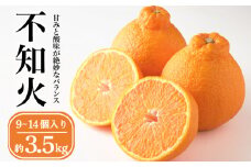 不知火 3kg 以上  3.5kg 9個 ～ 14個 先行予約 中農園 しらぬい 露地 デコポン 果物 くだもの フルーツ 柑橘 蜜柑 みかん 不知火みかん mikan ミカン グルメ お取り寄せ デザート ビタミン 産地直送 国産

