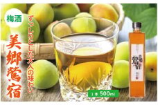 梅酒 美郷鶯宿 500ml 1本 梅 ブレンド 梅酒 うめ 果物 フルーツ うめしゅ お酒 酒  果実酒 さけ ビール ハイボール チューハイ 焼酎 日本酒 ウイスキー ワイン ギフト 贈答 プレゼント 送料無料 徳島県 吉野川市