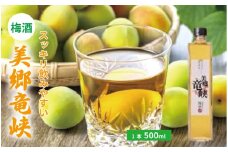 梅酒 美郷竜峡  500ml 1本 梅 ブレンド 梅酒 うめ 果物 フルーツ うめしゅ お酒 酒  果実酒 さけ ビール ハイボール チューハイ 焼酎 日本酒 ウイスキー ワイン ギフト 贈答 プレゼント 送料無料 徳島県 吉野川市