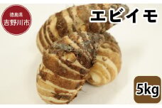エビイモ 5kg 2025年10月上旬～発送予定  先行予約 海老芋 食材 高級 和食 家庭用 伝統野菜 グルメ 取り寄せ 旬 京野菜 煮物 日本料理 里芋 芋 いも 産直 徳島県 吉野川市