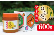 はちみつ 国産 600g 天然 蜂蜜 純粋 蜂蜜ギフト 健康食品 美容 食品 無添加 栄養豊富 生はちみつ ハチミツ ギフト 贈答 人気 はちみつ お取り寄せ グルメ ヨーグルト パン スイーツ 徳島県 吉野川市