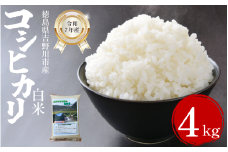 【先行予約】令和7年産 米 白米 選べる 容量 4kg （2kg × 2袋 ）コシヒカリ 令和7年度産 小分け お米 こめ 棚田米 白米 精米 ごはん ご飯 白飯 ゴハン 徳島県 吉野川市