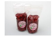先行予約 美郷の小梅干1kg 2025年 11月 ～ 発送予定