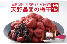 【 先行予約 】 天野農園の梅干1kg（小梅）　《 2025年10月中旬 ～ 順次出荷 》