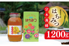 はちみつ 国産 1200g 天然 蜂蜜 純粋 蜂蜜ギフト 健康食品 美容 食品 無添加 栄養豊富 生はちみつ ハチミツ ギフト 贈答 人気 はちみつ お取り寄せ グルメ ヨーグルト パン スイーツ 徳島県 吉野川市