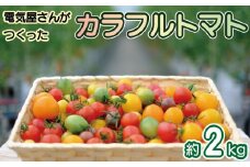 トマト ミディ ＆ ミニトマト 2kg 小分け 250g×8袋 カラフルトマト 2024年 11月～ 発送予定 野菜 やさい 果物 スイーツ ジュース トマトジュース パスタ スパゲティー ソース サラダ ドレッシング サンドイッチ ハンバーガー ピザ カレー 四電工 徳島県 吉野川市