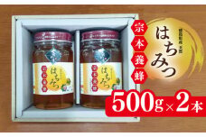 はちみつ 国産 500g 2本 天然 蜂蜜 化粧箱入 純粋 蜂蜜ギフト 健康食品 美容 食品 無添加 栄養豊富 生はちみつ ハチミツ ギフト 贈答 人気 はちみつ お取り寄せ グルメ ヨーグルト パン スイーツ 徳島県 吉野川市