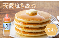 はちみつ山都物語(ボトルタイプ)530g