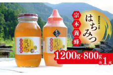 はちみつ 国産 セット 1200g 800g 各1本 天然 蜂蜜 純粋 蜂蜜ギフト 健康食品 美容 食品 無添加 栄養豊富 生はちみつ ハチミツ ギフト 贈答 人気 はちみつ お取り寄せ グルメ ヨーグルト パン スイーツ 徳島県 吉野川市
