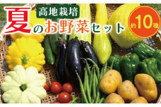 野菜 夏野菜 セット 10種 程度 詰め合わせ 高地野菜 栽培期間中 農薬不使用 露地栽培 きゅうり ピーマン ししとう オクラ ナス ズッキーニ じゃがいも へちま トマト かぼちゃ 玉ねぎ サラダ カレー 野菜炒め くららファーム 徳島県 吉野川市