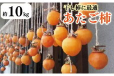 柿 10kg 干し柿 家庭用 あたご柿 レシピ付き 先行予約 2025年11月上旬～発送予定 果物 フルーツ デザート ケーキ ゼリー ジュース アイス ジャム 甘い カキ お菓子 旬 干柿 ほしがき お取り寄せ 徳島県 吉野川市
