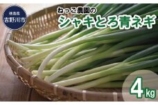 ねっこ農園の「 シャキとろ 青ネギ 」 4kg