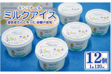 アイス キシリトール ミルクアイス 12個 120ml 砂糖不使用 虫歯予防 アイスクリーム 乳化安定剤不使用 吉野葛 天然素材 健康習慣 予防歯科 スイーツ 牛乳 ミルク ジェラート おやつ ご褒美 子供 家族 徳島県 吉野川市