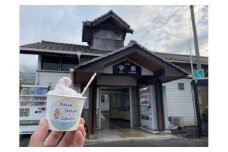 川島ジェラート　桜咲く　入学アイス（６個１箱セット）