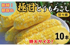 とうもろこし コーン 10本 約 4kg 先行予約 甘々娘 トウモロコシ 甘い 期間限定 夏 旬 野菜 鍋 炒め物 煮物 スープ 弁当 惣菜 おかず 健康 新鮮 国産 送料無料 吉野川市 徳島県