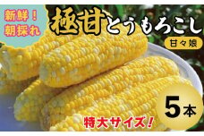 とうもろこし コーン 5本 約 2kg 先行予約 甘々娘 トウモロコシ 甘い 期間限定 夏 旬 野菜 鍋 炒め物 煮物 スープ 弁当 惣菜 おかず 健康 新鮮 国産 送料無料 吉野川市 徳島県