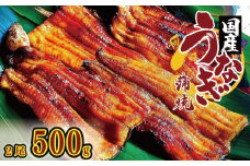 うなぎ 国産 鰻 蒲焼き 2尾 500g 秘伝のタレ付 炭火焼き ウナギ かば焼 国産うなぎ 蒲焼 鰻蒲焼き タレ セット 魚 魚介 惣菜 ギフト 贈り物 贈答 土用の丑 和食 日本料理 冷凍 徳島県 吉野川市